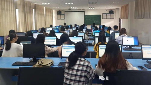 电子商务专业校内实训