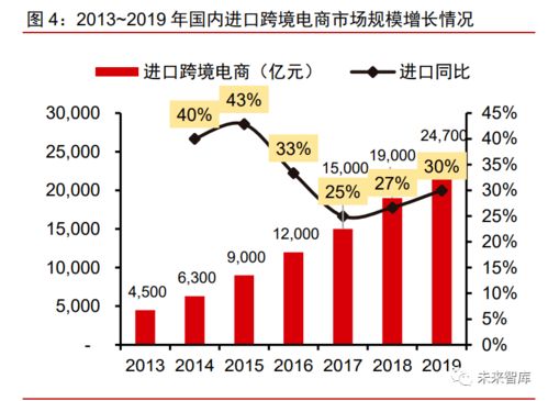 成长赛道电子商务专业报告
